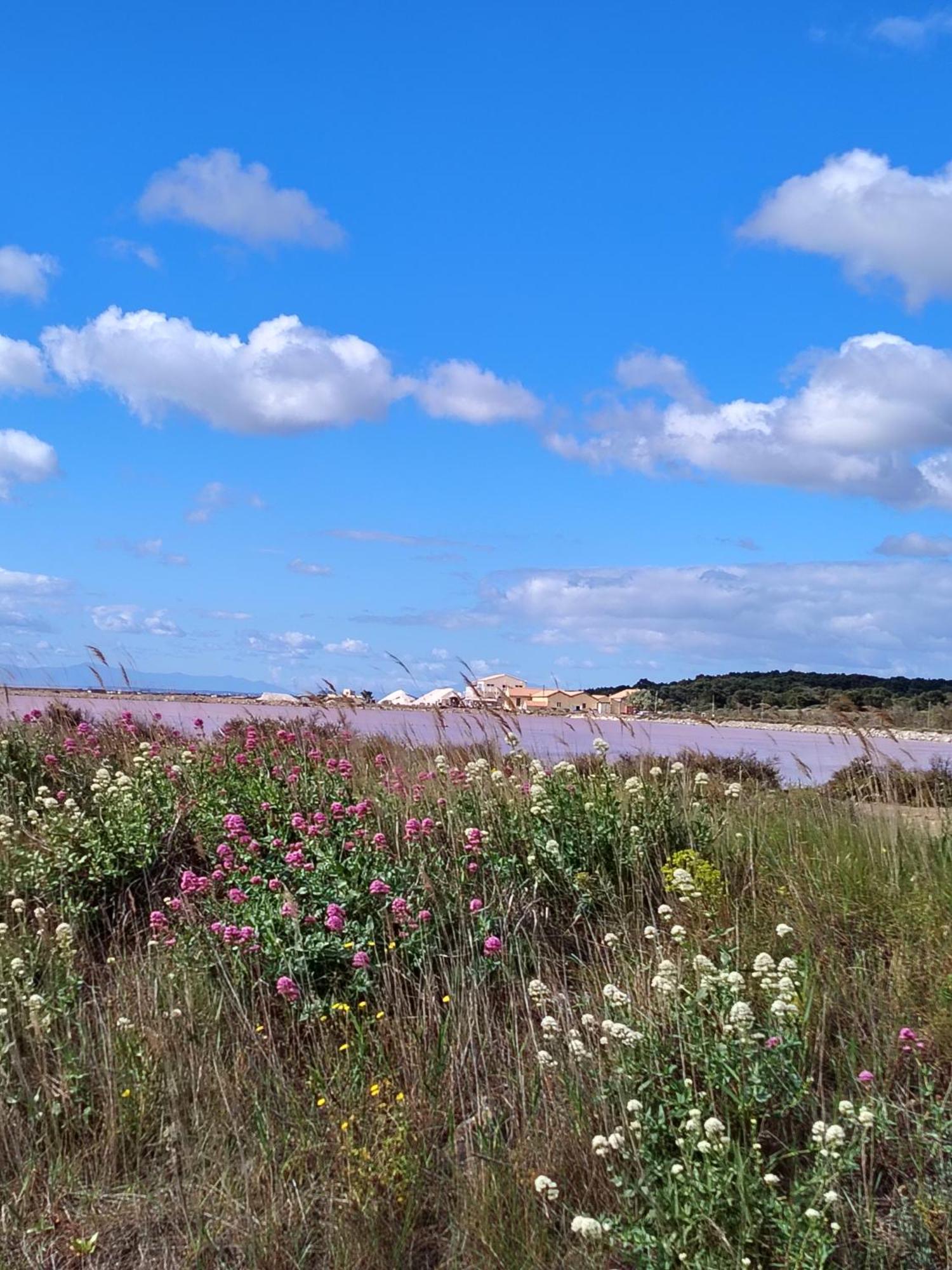 Port Panoramique Lägenhet Gruissan Exteriör bild